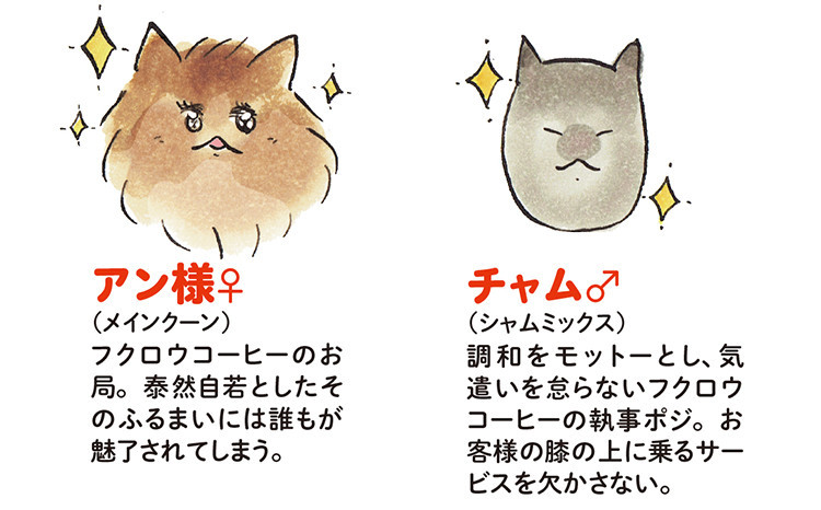 動物,犬,猫,しつけ,飼い方,育て方,病気,健康