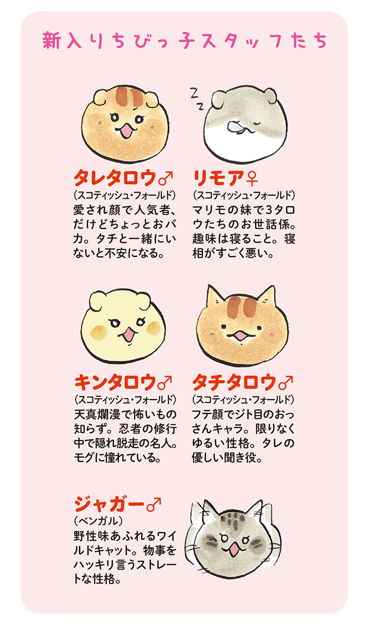 動物,犬,猫,しつけ,飼い方,育て方,病気,健康