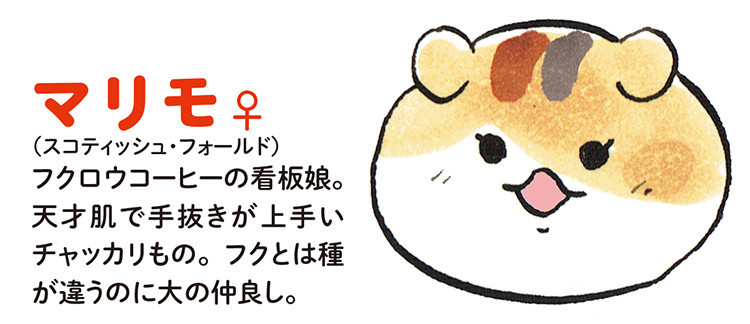 動物,犬,猫,しつけ,飼い方,育て方,病気,健康