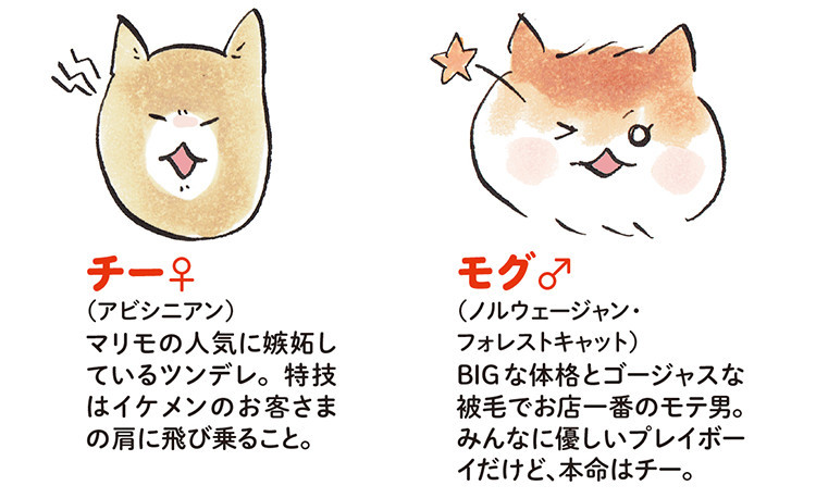 動物,犬,猫,しつけ,飼い方,育て方,病気,健康