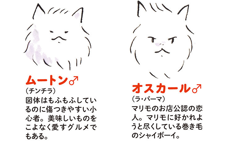 動物,犬,猫,しつけ,飼い方,育て方,病気,健康