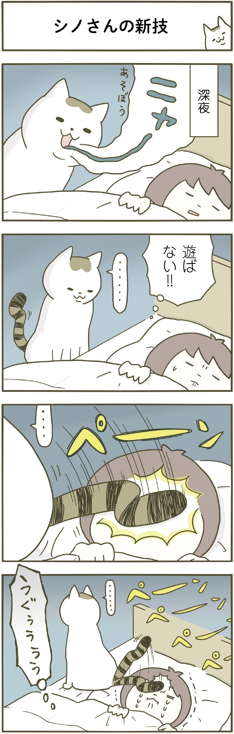 動物,犬,猫,しつけ,飼い方,育て方,病気,健康