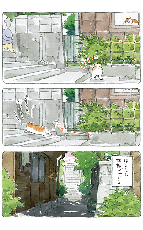 動物,犬,猫,しつけ,飼い方,育て方,病気,健康