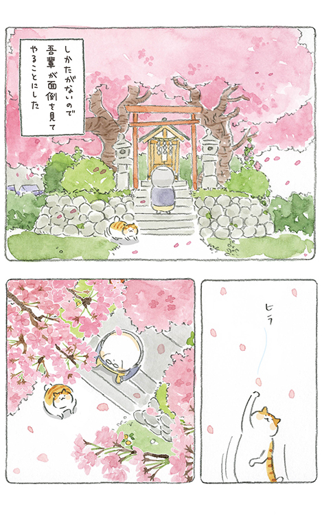 動物,犬,猫,しつけ,飼い方,育て方,病気,健康