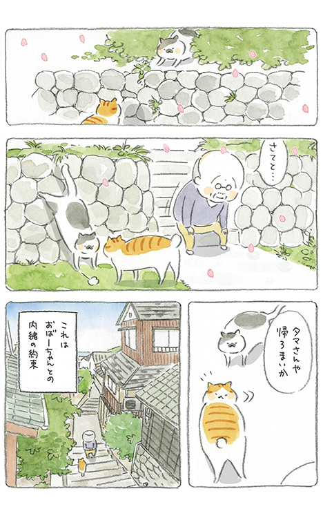動物,犬,猫,しつけ,飼い方,育て方,病気,健康