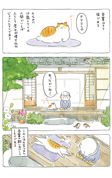 動物,犬,猫,しつけ,飼い方,育て方,病気,健康