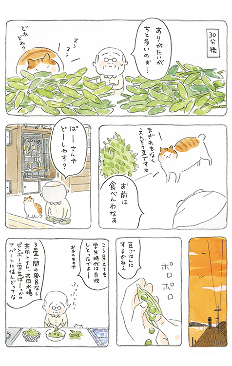 動物,犬,猫,しつけ,飼い方,育て方,病気,健康