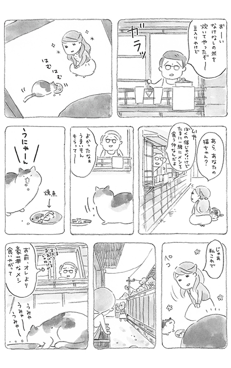 動物,犬,猫,しつけ,飼い方,育て方,病気,健康