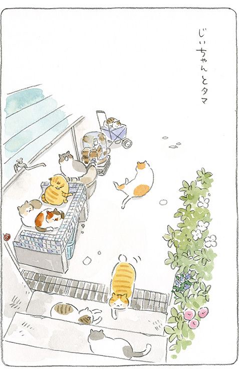 動物,犬,猫,しつけ,飼い方,育て方,病気,健康