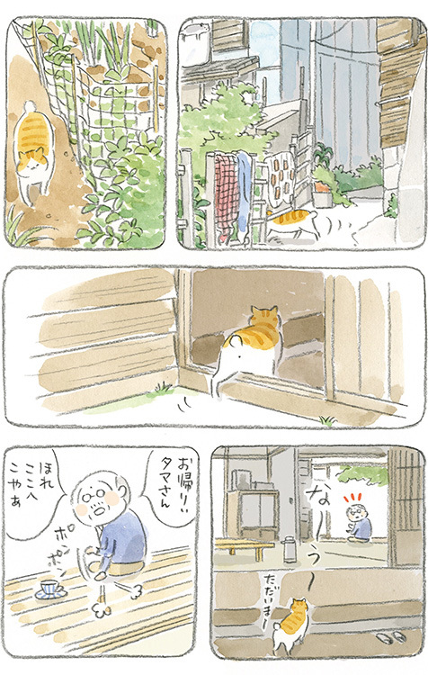 動物,犬,猫,しつけ,飼い方,育て方,病気,健康