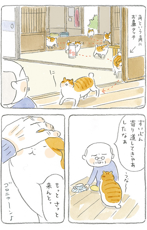 動物,犬,猫,しつけ,飼い方,育て方,病気,健康