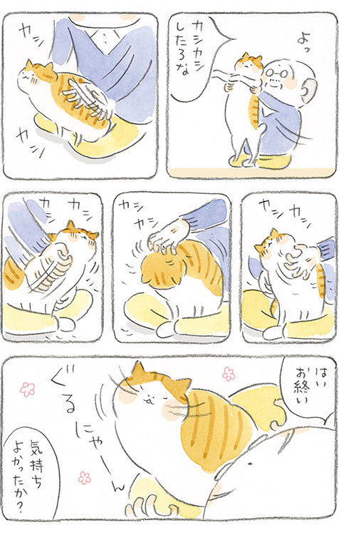 動物,犬,猫,しつけ,飼い方,育て方,病気,健康