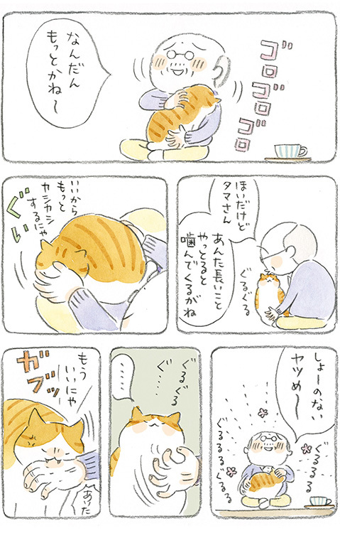 動物,犬,猫,しつけ,飼い方,育て方,病気,健康