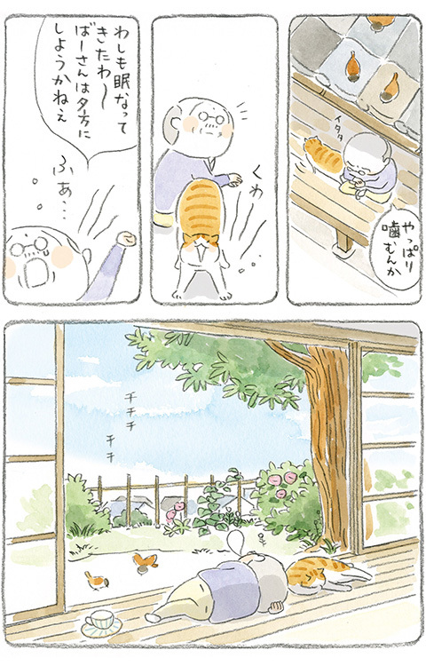 動物,犬,猫,しつけ,飼い方,育て方,病気,健康