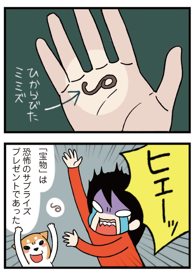 動物,犬,猫,しつけ,飼い方,育て方,病気,健康
