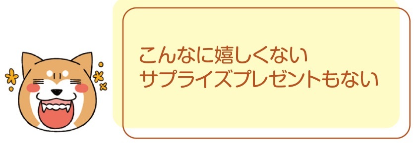 動物,犬,猫,しつけ,飼い方,育て方,病気,健康