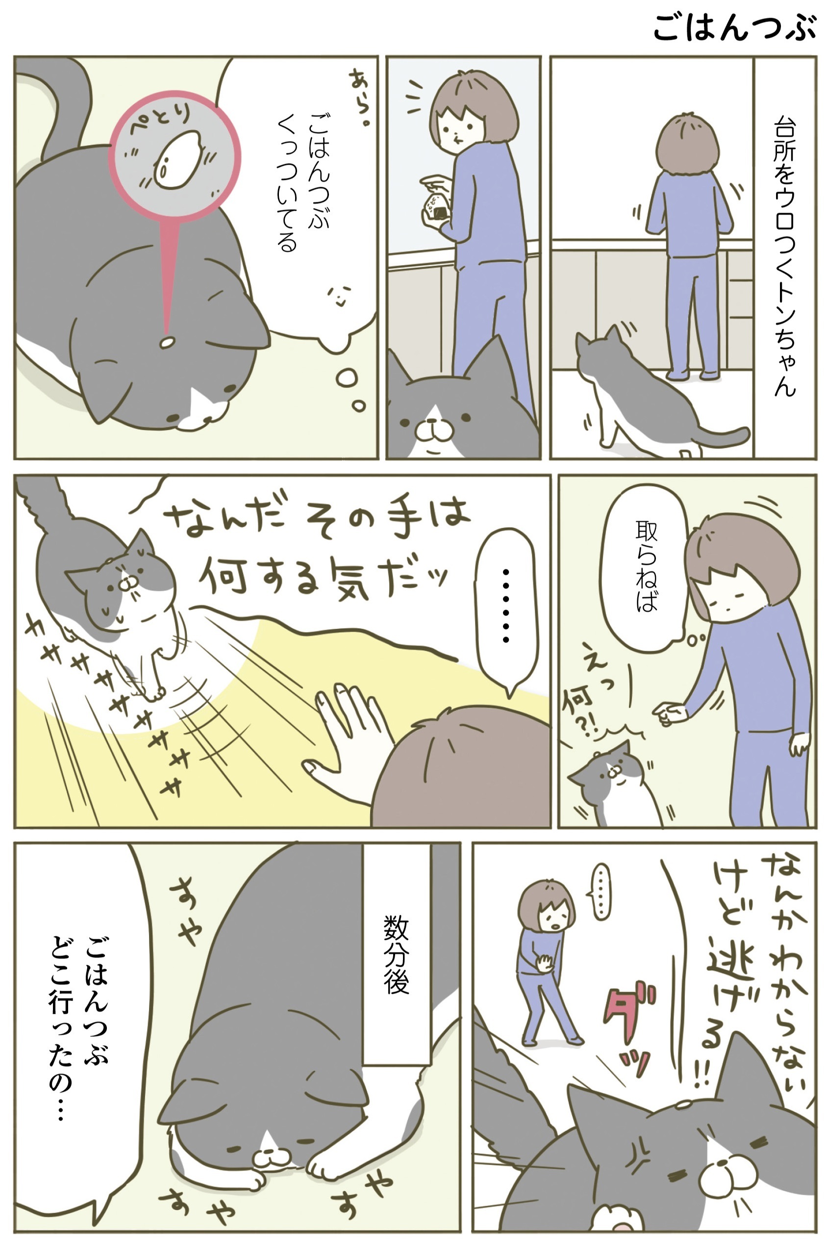 動物,犬,猫,しつけ,飼い方,育て方,病気,健康