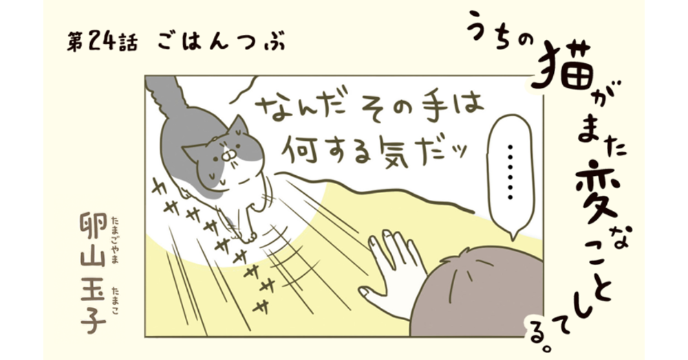 第24話:ごはんつぶ