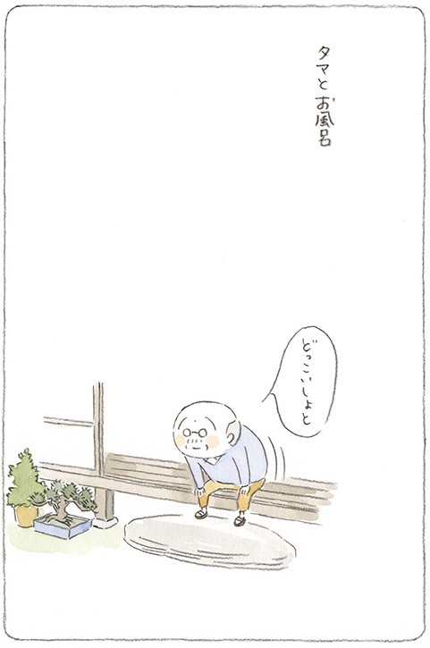 動物,犬,猫,しつけ,飼い方,育て方,病気,健康