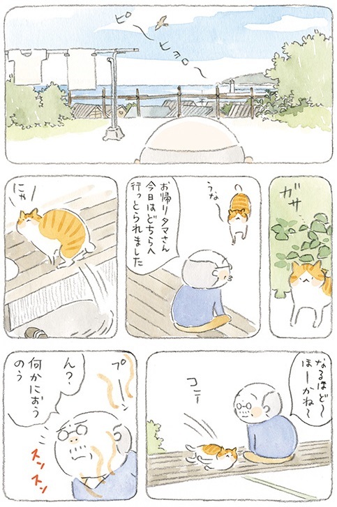 動物,犬,猫,しつけ,飼い方,育て方,病気,健康