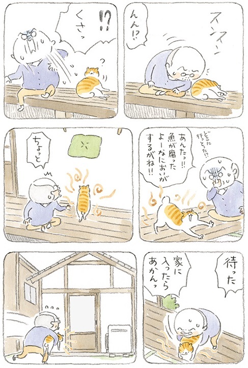 動物,犬,猫,しつけ,飼い方,育て方,病気,健康