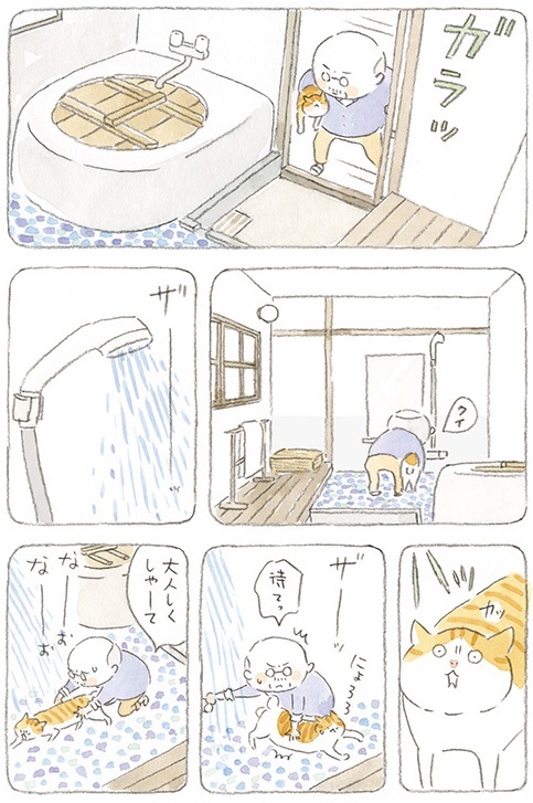 動物,犬,猫,しつけ,飼い方,育て方,病気,健康