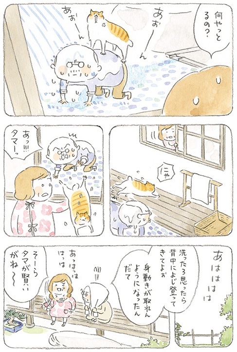 動物,犬,猫,しつけ,飼い方,育て方,病気,健康