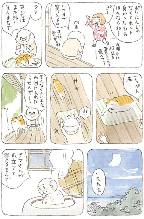 動物,犬,猫,しつけ,飼い方,育て方,病気,健康
