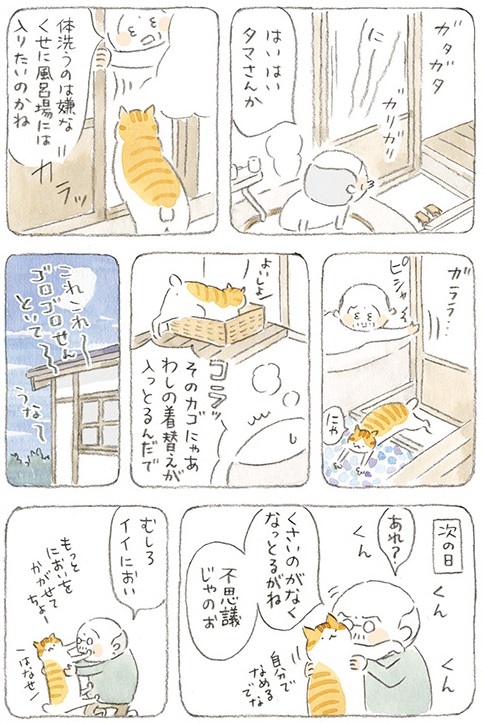 動物,犬,猫,しつけ,飼い方,育て方,病気,健康