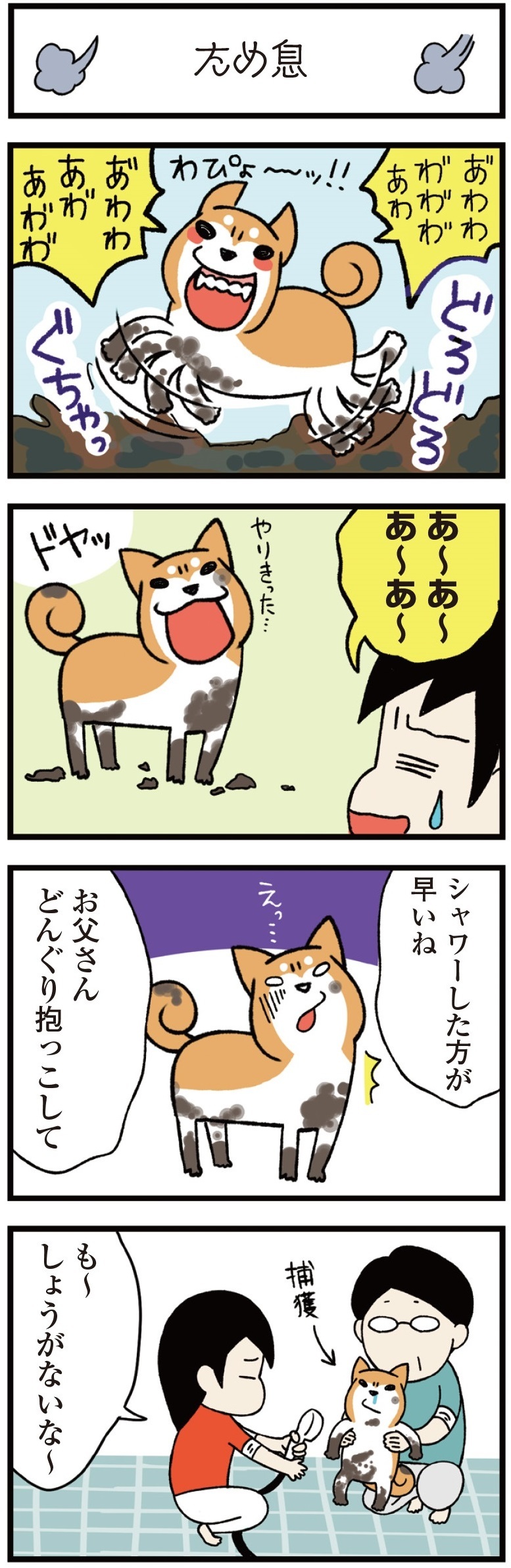 動物,犬,猫,しつけ,飼い方,育て方,病気,健康