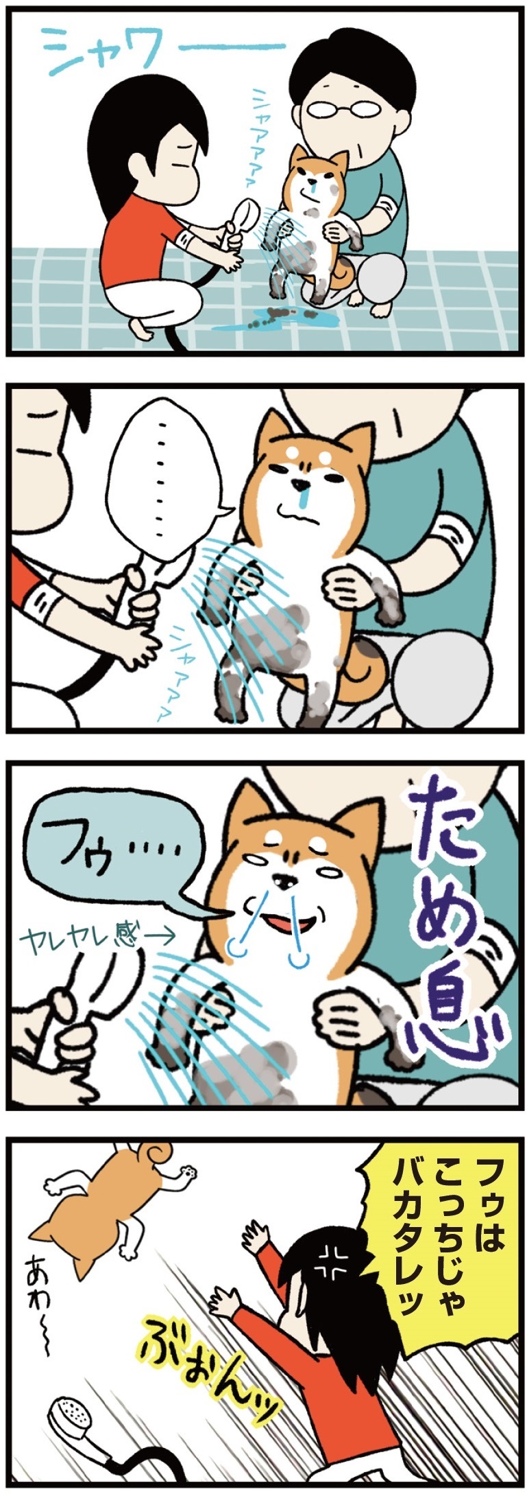 動物,犬,猫,しつけ,飼い方,育て方,病気,健康