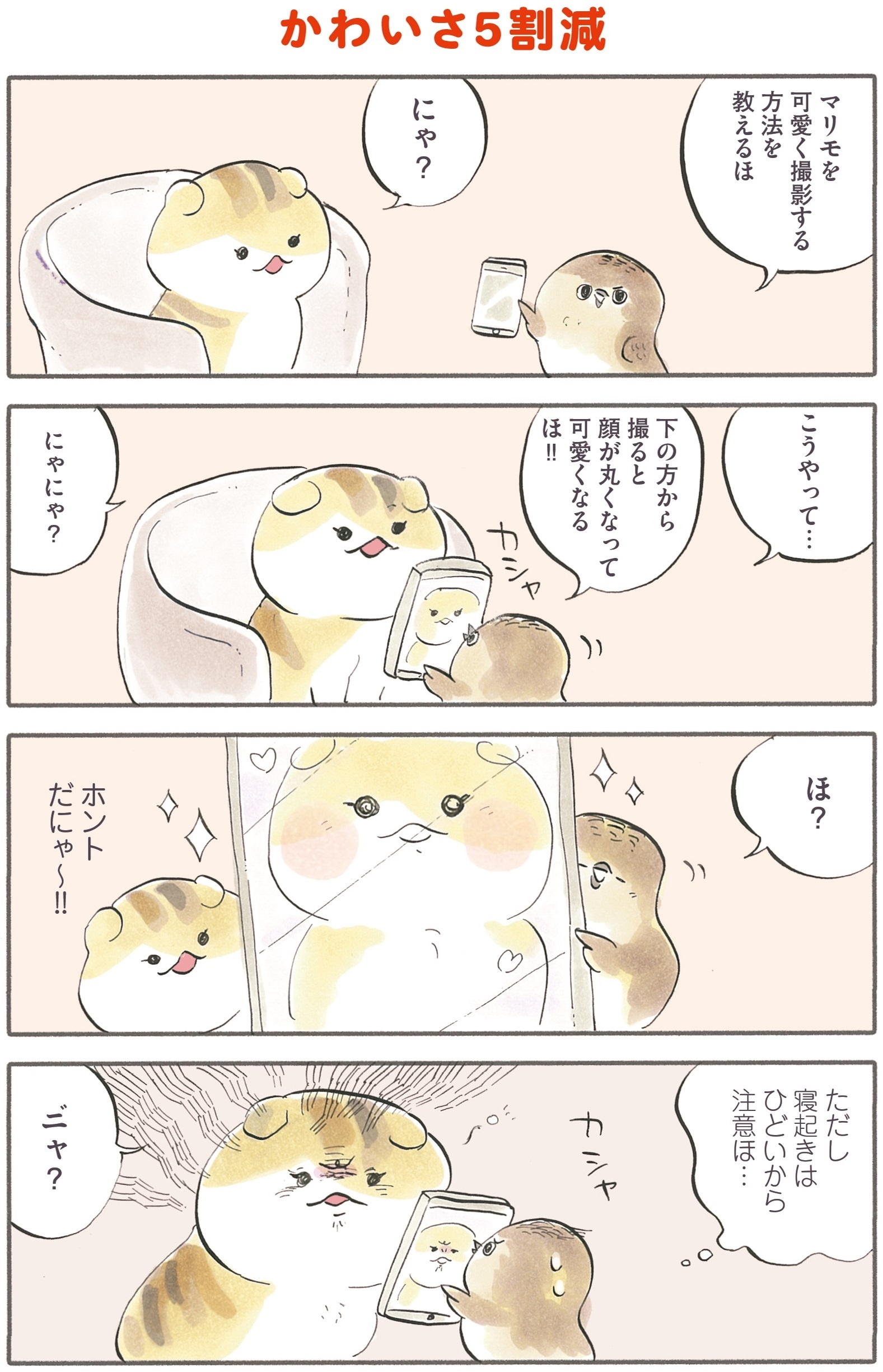 動物,犬,猫,しつけ,飼い方,育て方,病気,健康