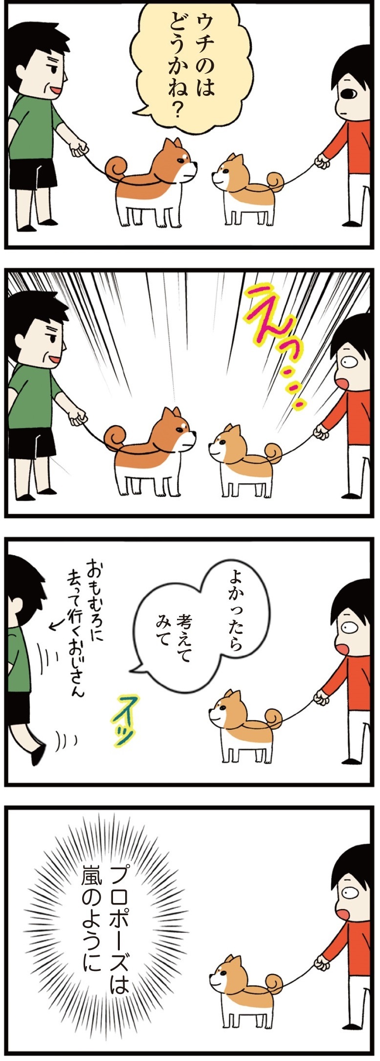 動物,犬,猫,しつけ,飼い方,育て方,病気,健康