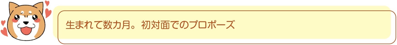動物,犬,猫,しつけ,飼い方,育て方,病気,健康