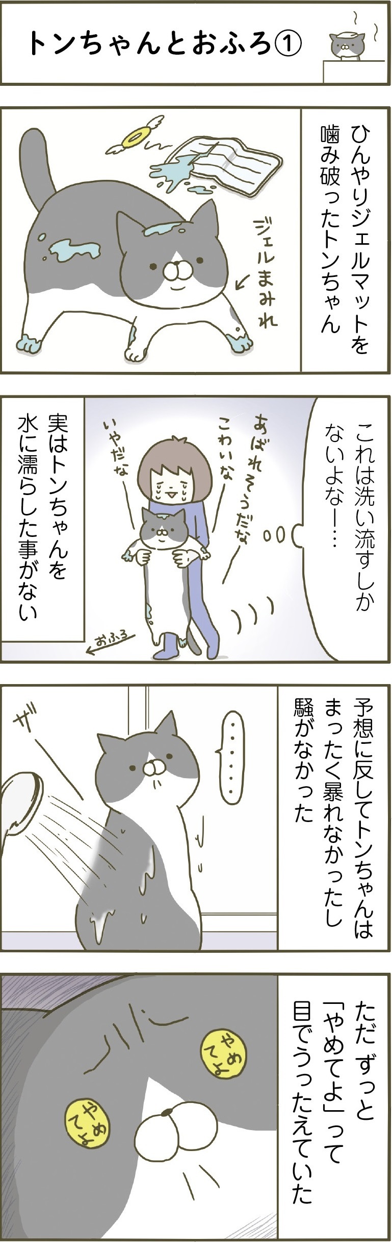 動物,犬,猫,しつけ,飼い方,育て方,病気,健康