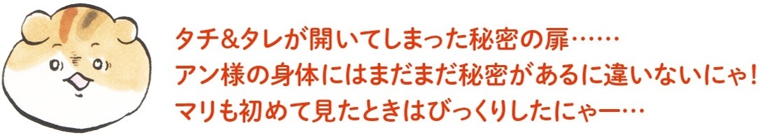 動物,犬,猫,しつけ,飼い方,育て方,病気,健康