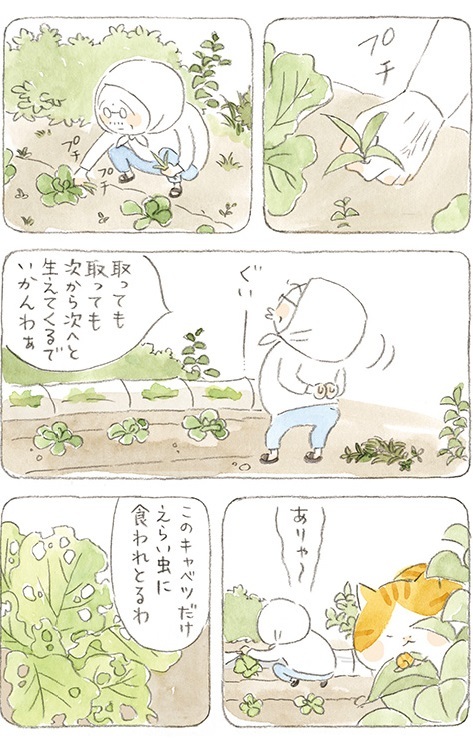 動物,犬,猫,しつけ,飼い方,育て方,病気,健康