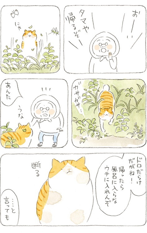 動物,犬,猫,しつけ,飼い方,育て方,病気,健康