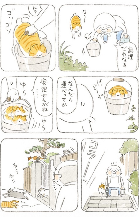 動物,犬,猫,しつけ,飼い方,育て方,病気,健康