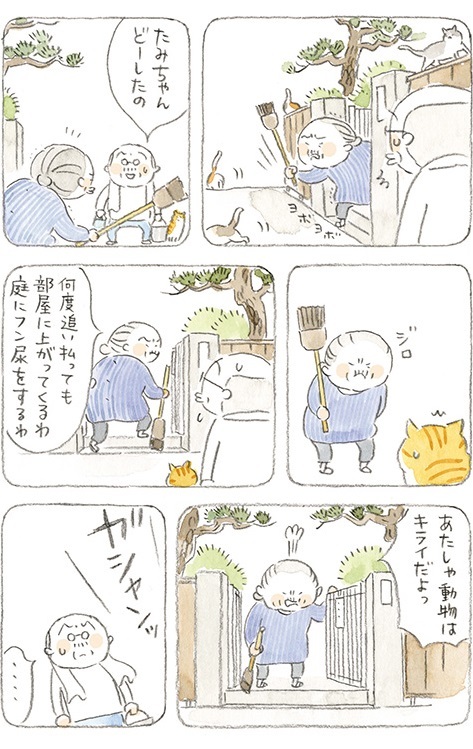 動物,犬,猫,しつけ,飼い方,育て方,病気,健康