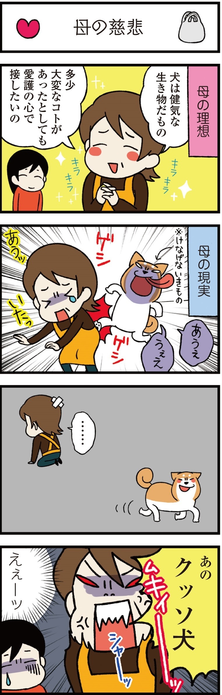 動物,犬,猫,しつけ,飼い方,育て方,病気,健康