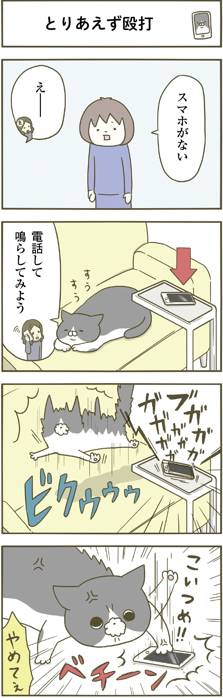 動物,犬,猫,しつけ,飼い方,育て方,病気,健康