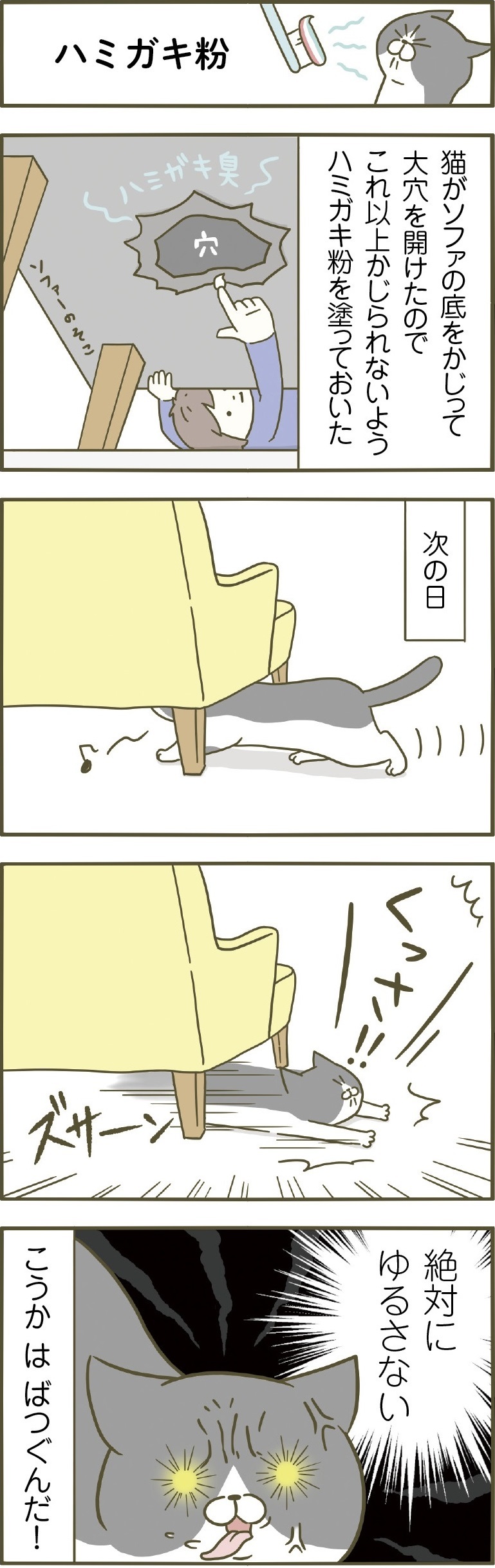 動物,犬,猫,しつけ,飼い方,育て方,病気,健康