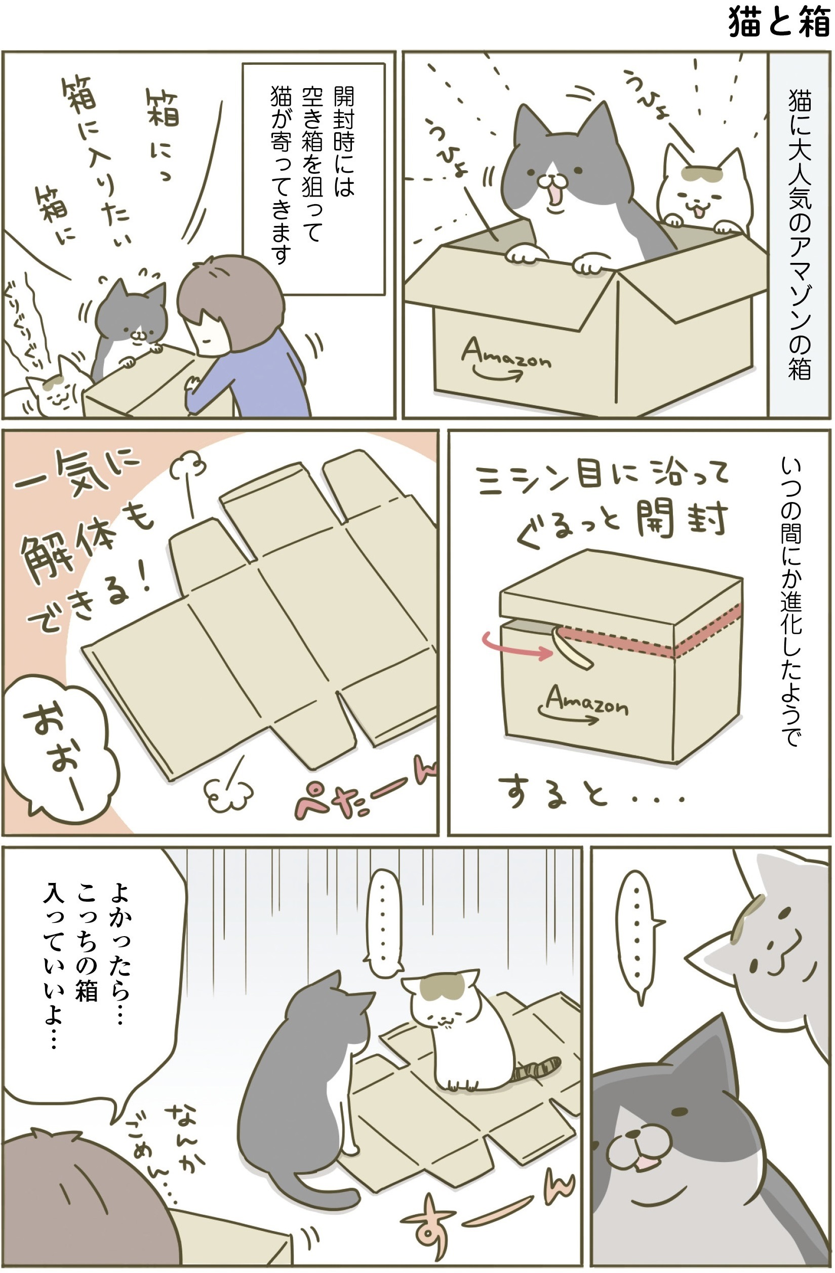 動物,犬,猫,しつけ,飼い方,育て方,病気,健康