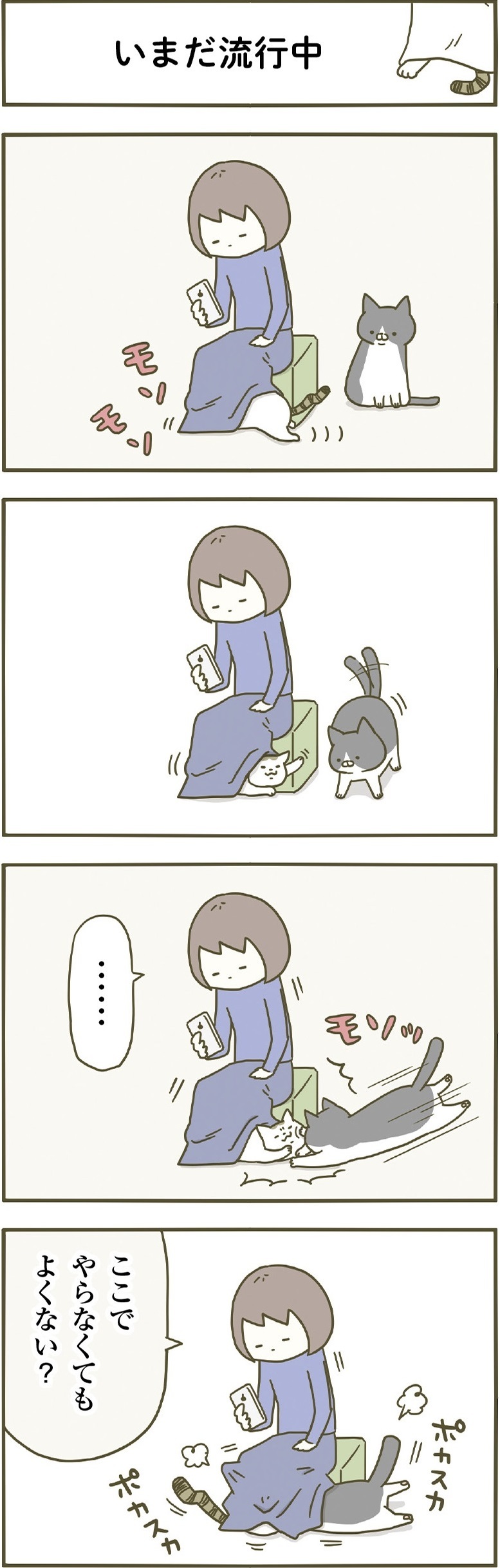 動物,犬,猫,しつけ,飼い方,育て方,病気,健康