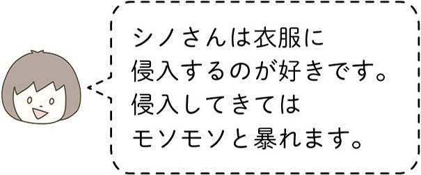 動物,犬,猫,しつけ,飼い方,育て方,病気,健康