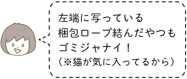 動物,犬,猫,しつけ,飼い方,育て方,病気,健康