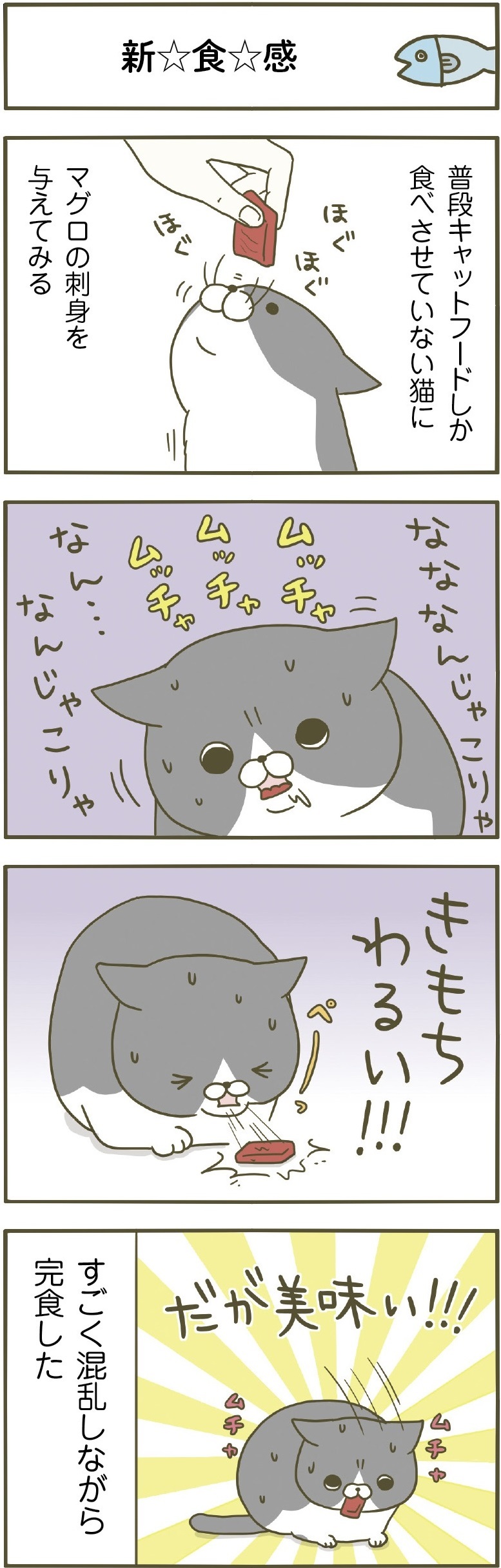 動物,犬,猫,しつけ,飼い方,育て方,病気,健康