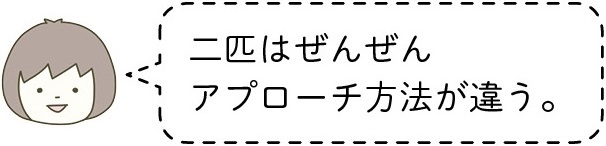 動物,犬,猫,しつけ,飼い方,育て方,病気,健康