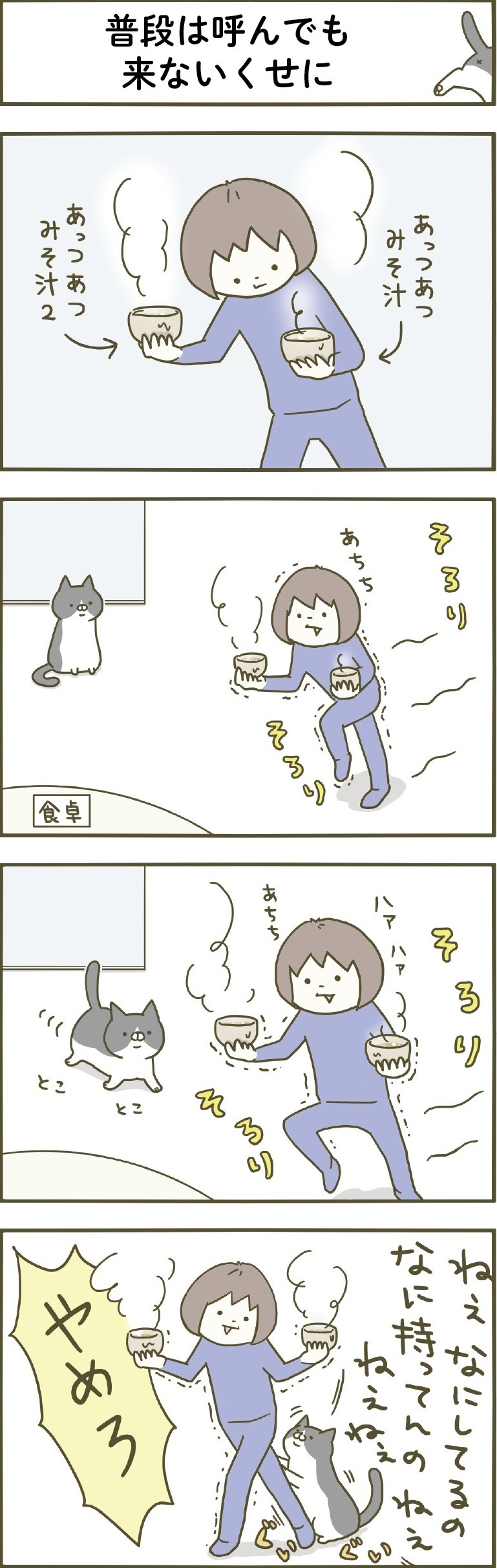 動物,犬,猫,しつけ,飼い方,育て方,病気,健康